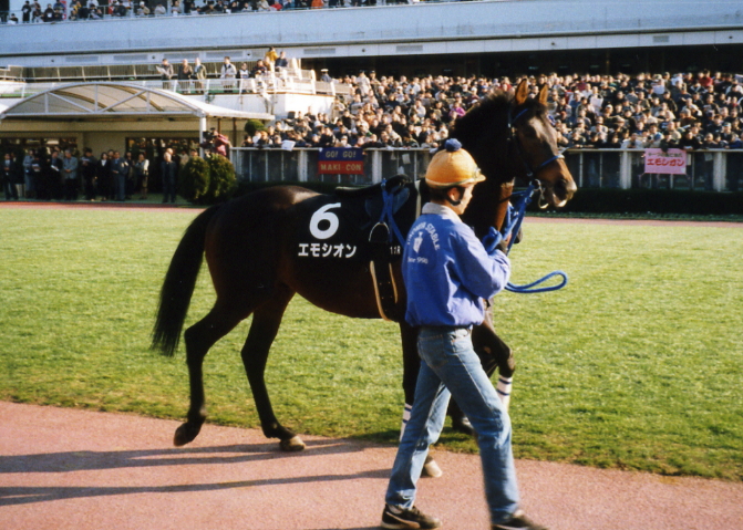 f0033848_718842.jpg