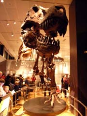 b0064461_2320577.jpg