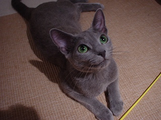 d0011689_24218.jpg