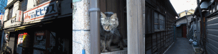 d0014408_1558395.gif