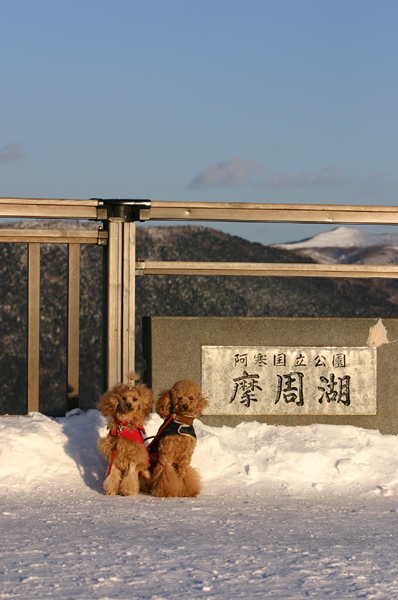 １月１８日（水）　マシューと摩周湖_a0016311_14454114.jpg