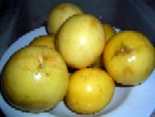 パッションフルーツ_a0043520_21452676.jpg