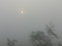 FOG SEASON_f0043137_0454433.jpg