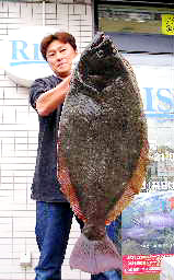 体長1メートル超 重さ10キロのヒラメ釣れた 大磯 カモメのスクラップブック