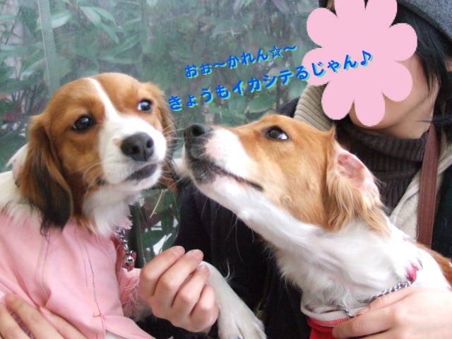 c0075585_038161.jpg