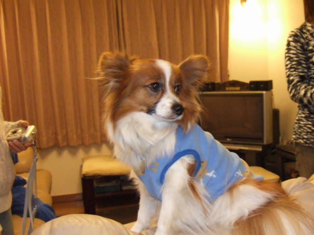 c0075585_149486.jpg
