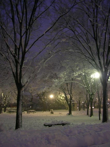 e0064400_20331048.jpg