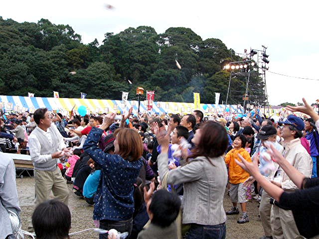 a0042310_150977.jpg
