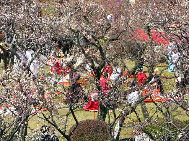 太宰府天満宮 曲水の宴_a0042310_15384564.jpg