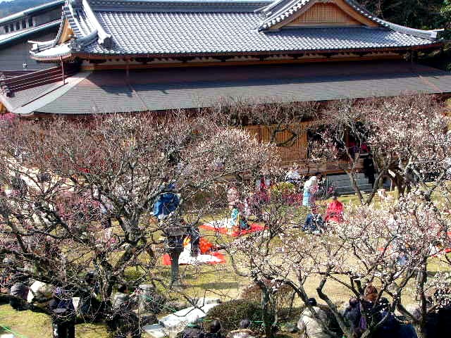 太宰府天満宮 曲水の宴_a0042310_15401638.jpg