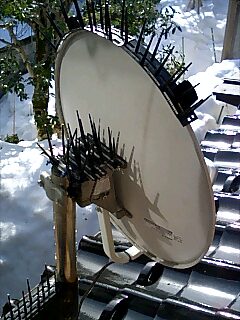 e0091220_1705766.jpg
