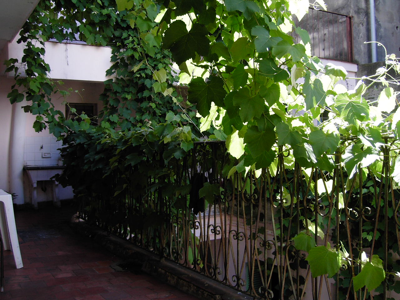 d0035721_9504262.jpg