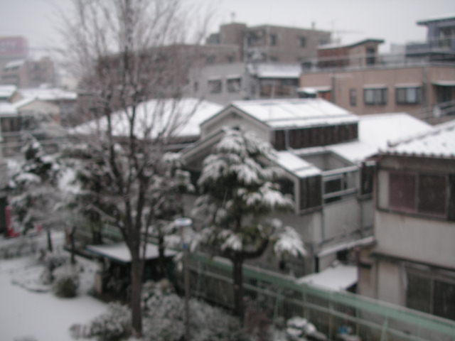 東京では9センチでも大雪と言うんです。_a0050728_8535851.jpg