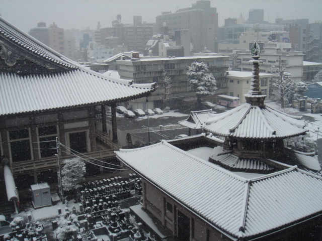 京都行ってきました♪_e0048328_10394460.jpg