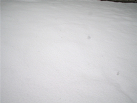 f0038336_12343378.jpg