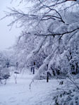 ＊ともだち＊　　2006,1,21_a0030038_21503199.jpg