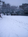 ＊ともだち＊　　2006,1,21_a0030038_21505886.jpg