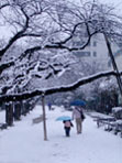 ＊ともだち＊　　2006,1,21_a0030038_21511659.jpg