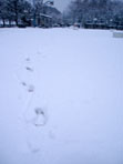 ＊ともだち＊　　2006,1,21_a0030038_21512541.jpg