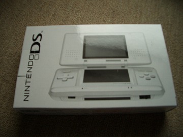 ニンテンドーDSを買いに行くの巻_a0013749_17312462.jpg