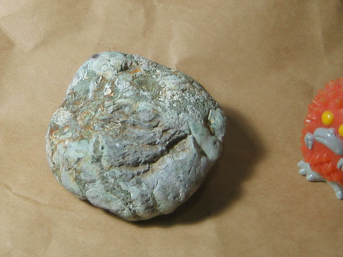 f0041351_4454951.jpg