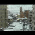 初雪。_c0061753_859132.jpg