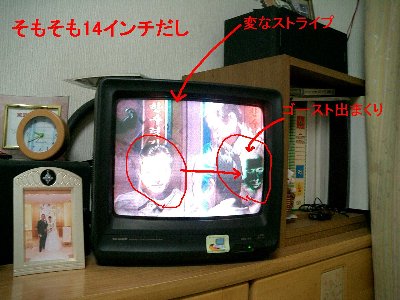 テレビ撃沈_a0056654_1365544.jpg