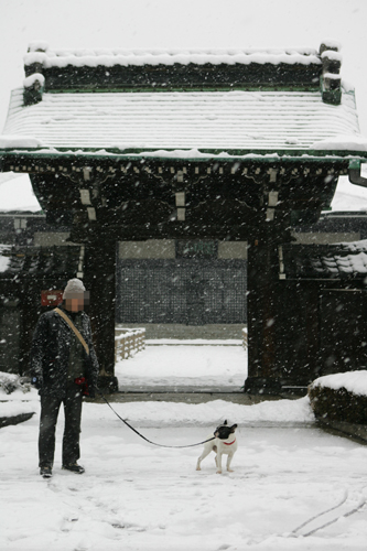 雪の日散歩_c0029654_2212257.jpg