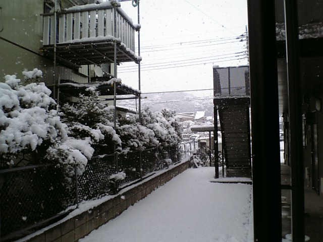【雪雪雪】　ここもか・・・　【雪雪雪】_b0007769_14283063.jpg