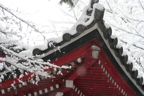 雪景色　・・寺にて_e0027083_15535100.jpg