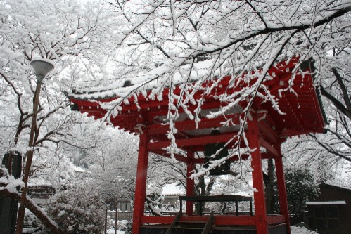 雪景色　・・寺にて_e0027083_156927.jpg