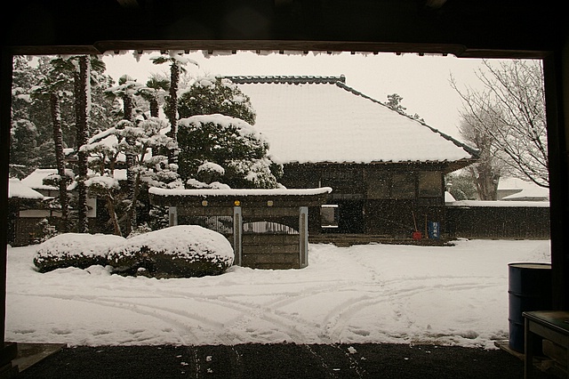 雪でござんす_e0069983_21531956.jpg