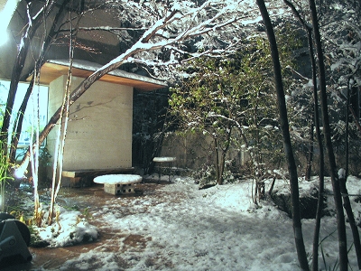 夜桜のお花見??・・・いいえ、つかの間の雪景色、満喫! _e0008000_14533643.jpg