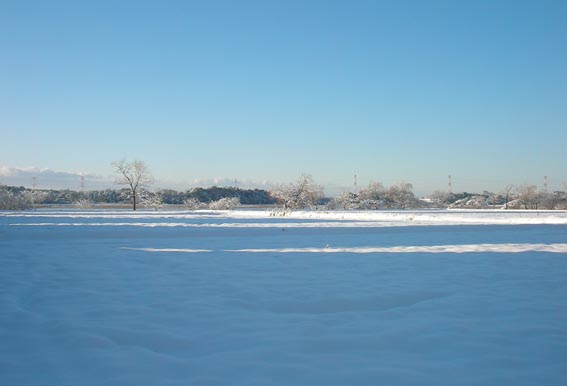 e0064400_17575270.jpg