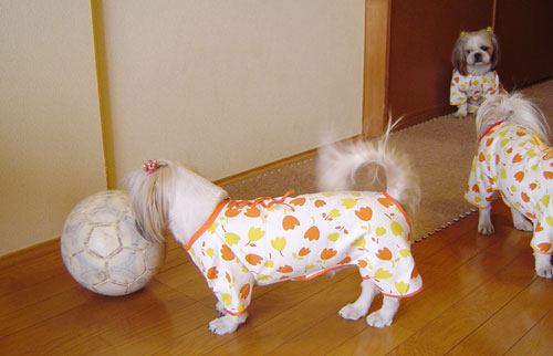 c0011204_131140100.jpg