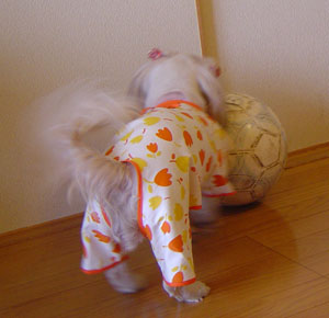 c0011204_13135048.jpg