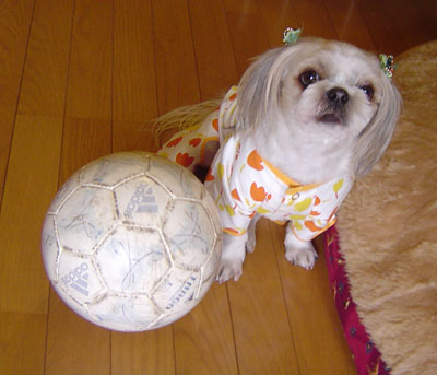 c0011204_13142638.jpg