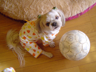 c0011204_13145783.jpg