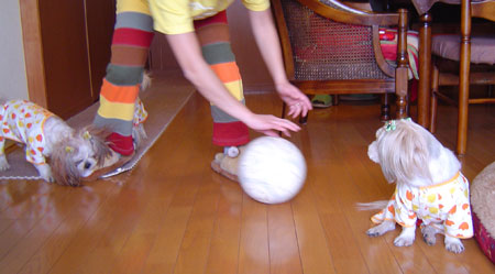 c0011204_13151089.jpg