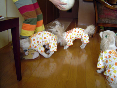 c0011204_1316035.jpg