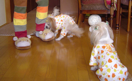c0011204_13174736.jpg
