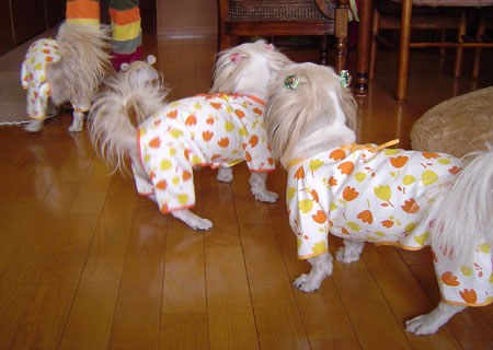 c0011204_13183818.jpg