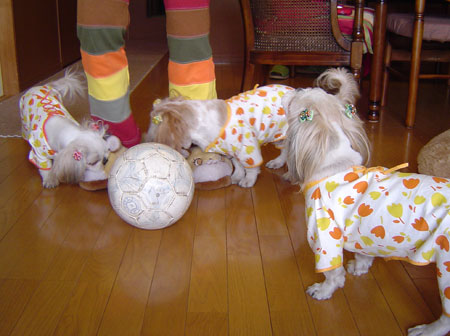 c0011204_13185716.jpg