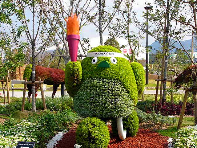アイランド 『花どんたく』_a0042310_18195639.jpg