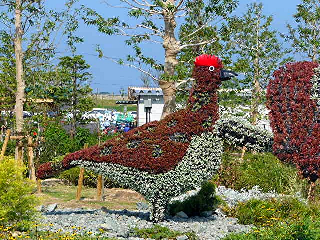 アイランド 『花どんたく』_a0042310_1820921.jpg