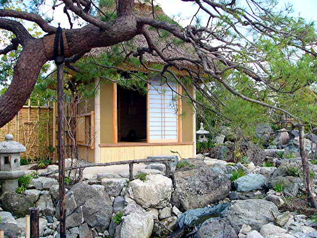 アイランド 『花どんたく』_a0042310_18275473.jpg