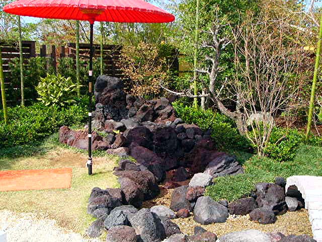 アイランド 『花どんたく』_a0042310_18291161.jpg