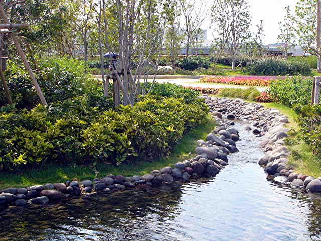 アイランド 『花どんたく』_a0042310_1837429.jpg