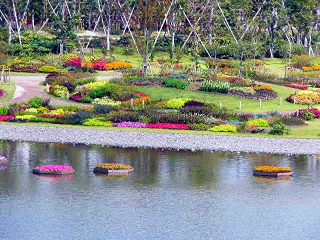 アイランド 『花どんたく』_a0042310_18391246.jpg
