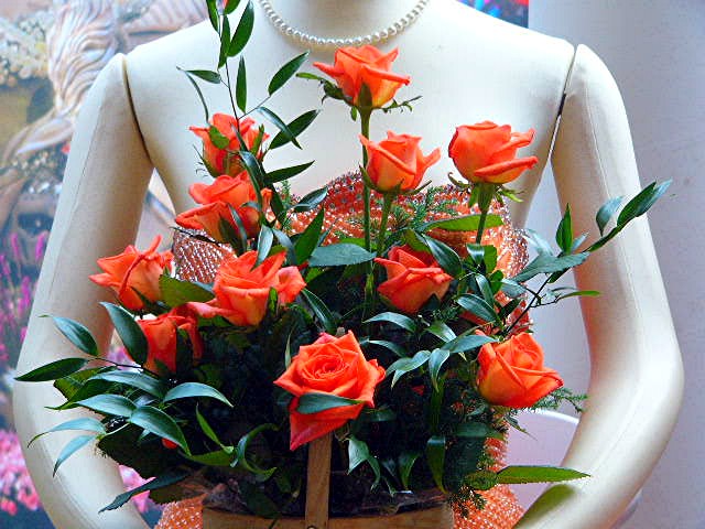 アイランド 『花どんたく』_a0042310_18453036.jpg